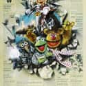 The Great Muppet Caper on Random Best Fantasy Movies of 1980s