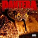 The Great Southern Trendkill on Random Best Pantera Albums