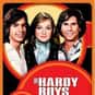 Shaun Cassidy, Parker Stevenson, Pamela Sue Martin   The Hardy Boys/Nancy Drew Mysteries is a television series which aired for three seasons on ABC.