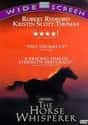 The Horse Whisperer on Random Best Movies Directed by the Star