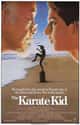 The Karate Kid on Random Best Kung Fu Movies of 1980s