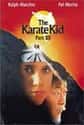 The Karate Kid, Part III on Random Best Kung Fu Movies of 1980s