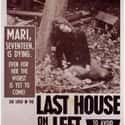The Last House on the Left on Random Best Exploitation Movies of 1970s