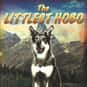 The Littlest Hobo is a Canadian television series based upon a 1958 American film of the same name directed by Charles R. Rondeau.