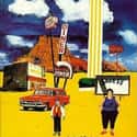 The Lost Continent: Travels in Small-Town America on Random Best Bill Bryson Books