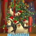 The Madagascar Penguins in a Christmas Caper on Random Best '00s Christmas Movies
