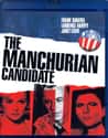 The Manchurian Candidate on Random Best Political Drama Movies