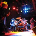 Melvins on Random Best Grunge Bands