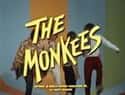The Monkees on Random Top Pop Artists of 1960s