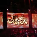 The Osmonds on Random Best Musical Artists From Utah
