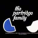 The Partridge Family on Random Best Bands Named After Birds