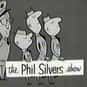 Dick Van Dyke, Alan Alda, Julie Newmar   The Phil Silvers Show, originally titled You'll Never Get Rich, was a sitcom which ran on CBS from 1955 to 1959 for 142 episodes, plus a 1959 special.