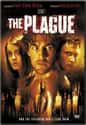 The Plague on Random Best Zombie Movies