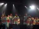 The Polyphonic Spree on Random Best Psychedelic Pop Bands/Artists