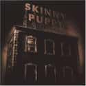 The Process on Random Best Skinny Puppy Albums