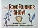 The Road Runner Show on Random Best Cartoons