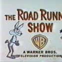 The Road Runner Show on Random Greatest Cartoon Theme Songs