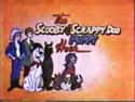 The Scooby & Scrappy-Doo/Puppy Hour on Random Most Unforgettable '80s Cartoons