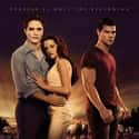 The Twilight Saga: Breaking Dawn - Part 1 on Random TV Programs And Movies For 'Teen Wolf' Fans