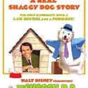 The Shaggy D.A. on Random Best Kids Movies of 1970s