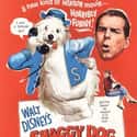 The Shaggy Dog [1959] on Random Best Disney Live-Action Movies