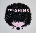 The Shins on Random Most Hipster Bands