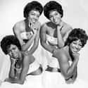 The Shirelles on Random Best Musical Artists From New Jersey