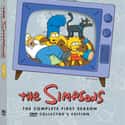 The Simpsons season 1 on Random Best Seasons of 'The Simpsons'