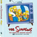 The Simpsons season 2 on Random Best Seasons of 'The Simpsons'