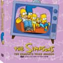 The Simpsons season 3 on Random Best Seasons of 'The Simpsons'