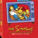The Simpsons season 5 on Random Best Seasons of 'The Simpsons'