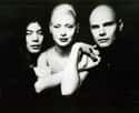 The Smashing Pumpkins on Random Best Musical Artists From Illinois