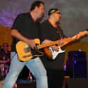 The Smithereens on Random Best College Rock Bands/Artists