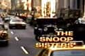 The Snoop Sisters on Random Best 1970s Crime Drama TV Shows