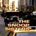 The Snoop Sisters on Random Best 1970s Crime Drama TV Shows