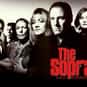 James Gandolfini, Lorraine Bracco, Edie Falco   The Sopranos is an American drama television series created by David Chase.
