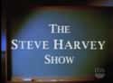 The Steve Harvey Show on Random Greatest Black Sitcoms