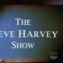 The Steve Harvey Show on Random Greatest Black Sitcoms of the 1990s