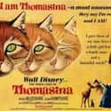 The Three Lives of Thomasina on Random Best Disney Movies Starring Cats