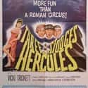 Larry Fine, Moe Howard, Hal Smith   The Three Stooges Meet Hercules is the third feature film to star the Three Stooges after their 1959 resurgence in popularity.