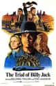 The Trial of Billy Jack on Random Best Kung Fu Movies of 1970s
