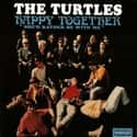 The Turtles on Random Top Pop Artists of 1960s