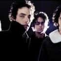 The Wallflowers on Random Bands/Artists With Only One Great Album