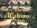 The Waltons on Random Best TV Drama Shows of the 1970s