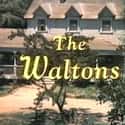 The Waltons on Random Best TV Dramas from the 1980s
