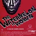 The Watermelon Woman on Random Best Black LGBTQ+ Movies