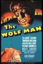 The Wolf Man on Random Best Classic Horror Movies