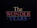 The Wonder Years on Random Best Drama Shows About Families