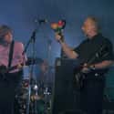 The Yardbirds on Random Best British Rock Bands/Artists