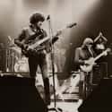 Celtic rock, Blues-rock, Rock music   Thin Lizzy are an Irish rock band formed in Dublin in 1969. Two of the founding members, drummer Brian Downey and bass guitarist and vocalist Phil Lynott, met while still in school.